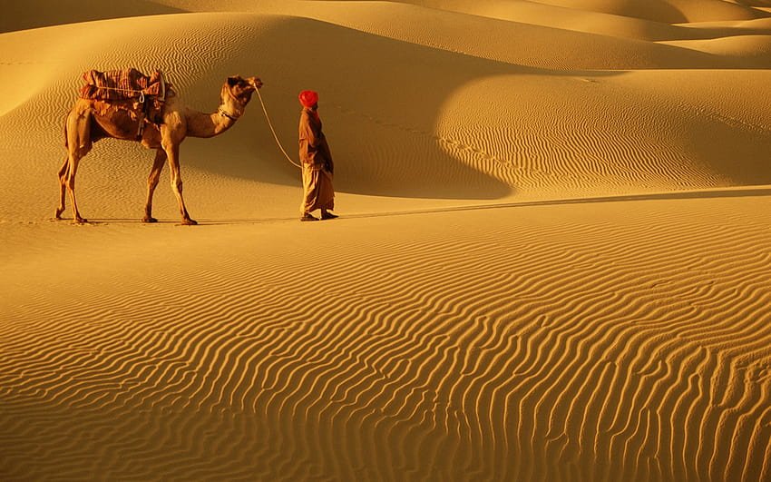 JanasenaFanRJ's tweet photo. India Thar desert is more beautiful than entire Maldives and gets more tourist than Maldives.
Stunning Thar desert.
#BycottMaldives
#Lakshadweep https://t.co/lELA85p4Qs