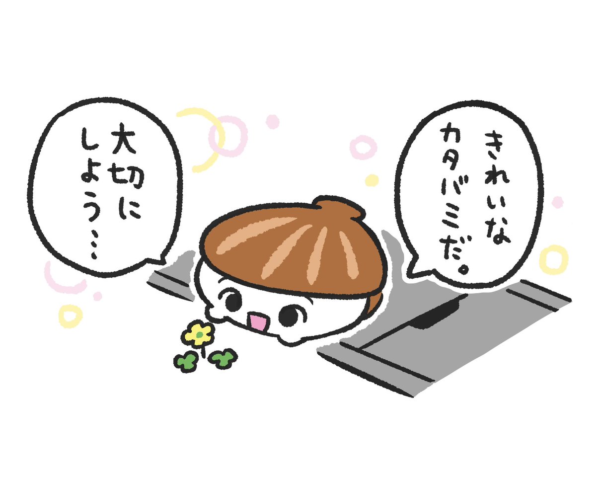 ほたてちゃん! 