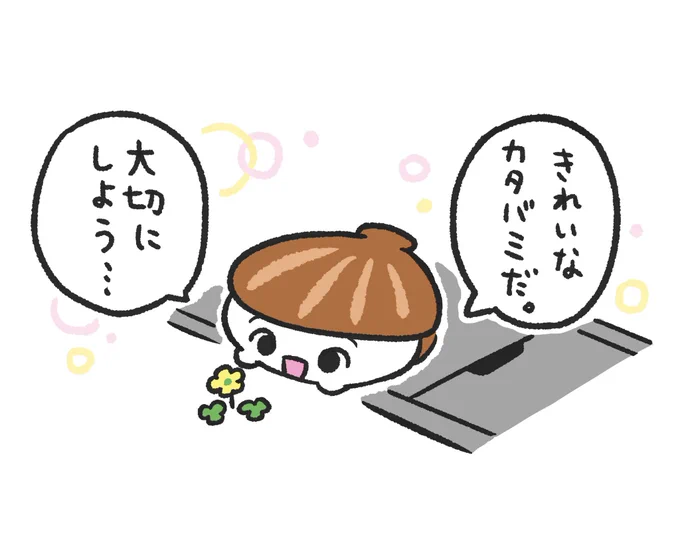 ほたてちゃん! 