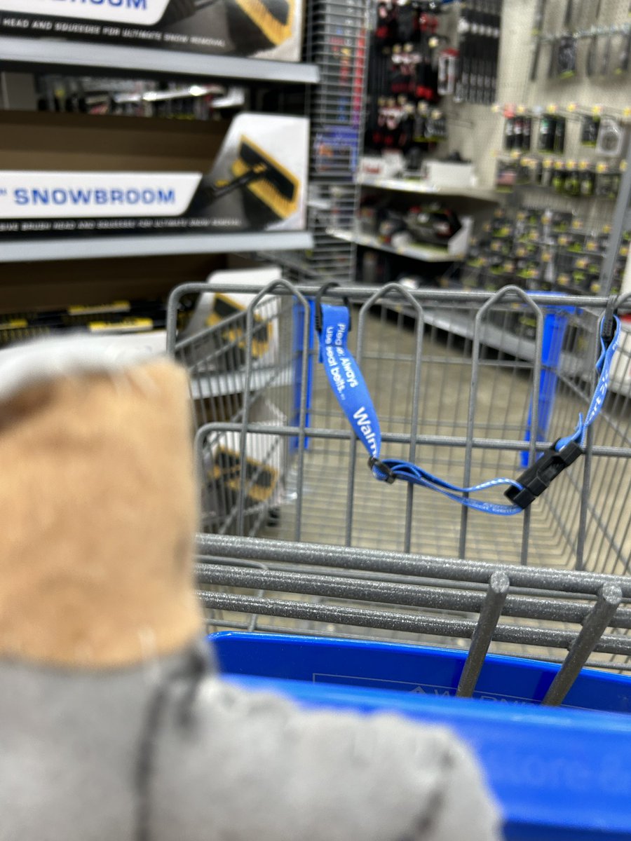 Zhana be in Walmart. #LVGSFilm