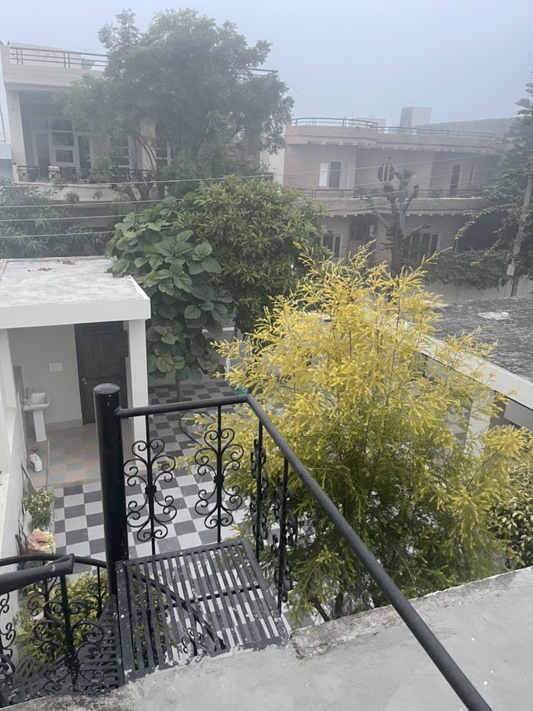 Cold mornings in Punjab