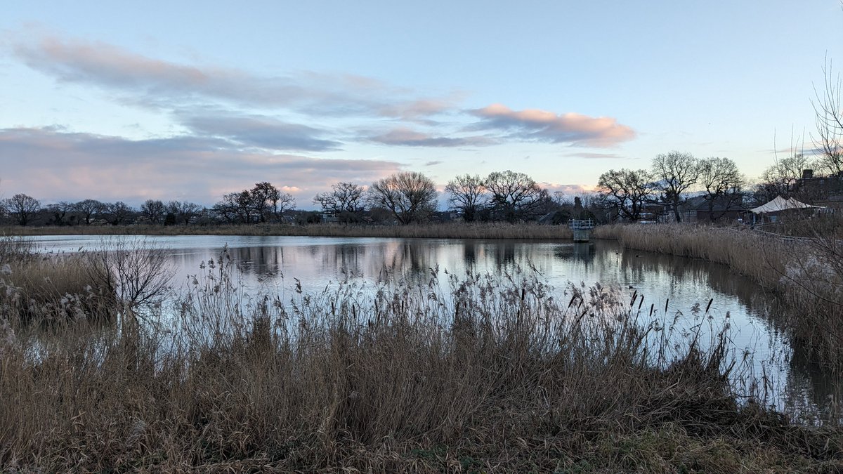 mariusturda's tweet image. Having a stroll. #NewRiver #Lond