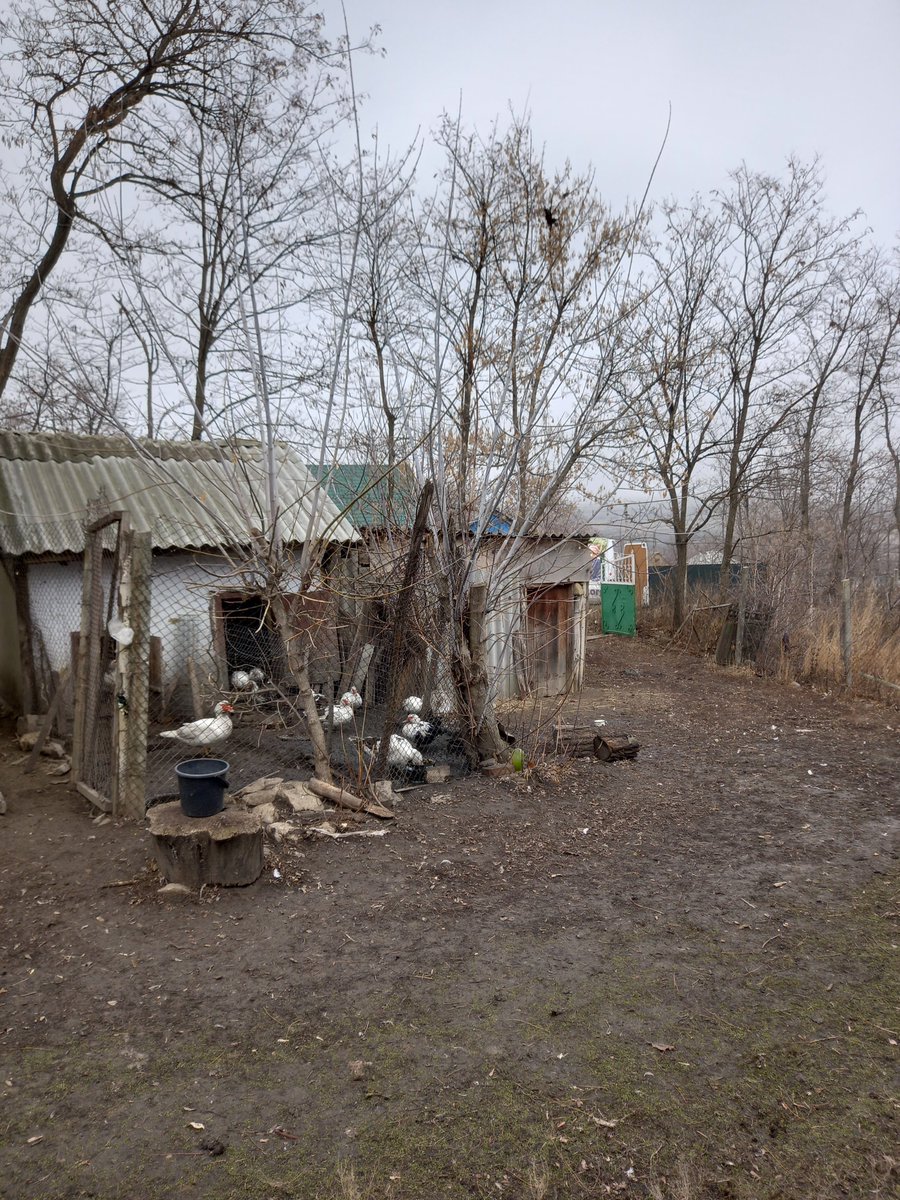 teechorg's tweet image. In the village of Balasesti #moldova to hand deliver food. #humanitarianaid