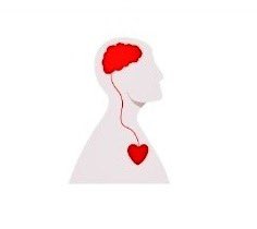 Bushra5544's tweet photo. ” لا تتجاهل انقباض قلبك بلا مبرر ٬
غالبًا العقل لا يصلُ الإ متأخرًا🧠🫀 https://t.co/atip6UtLjS