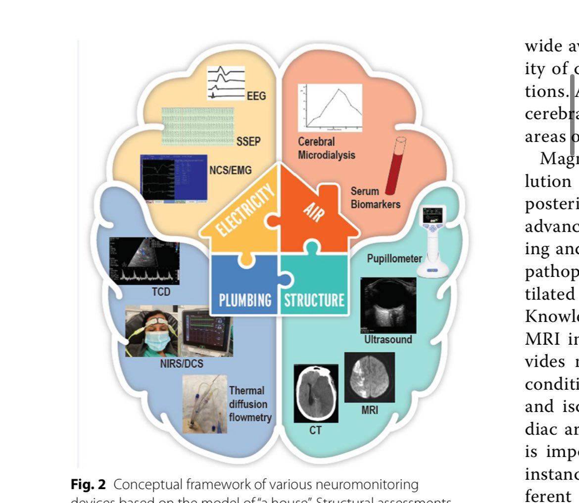 Chiara Robba tweet media