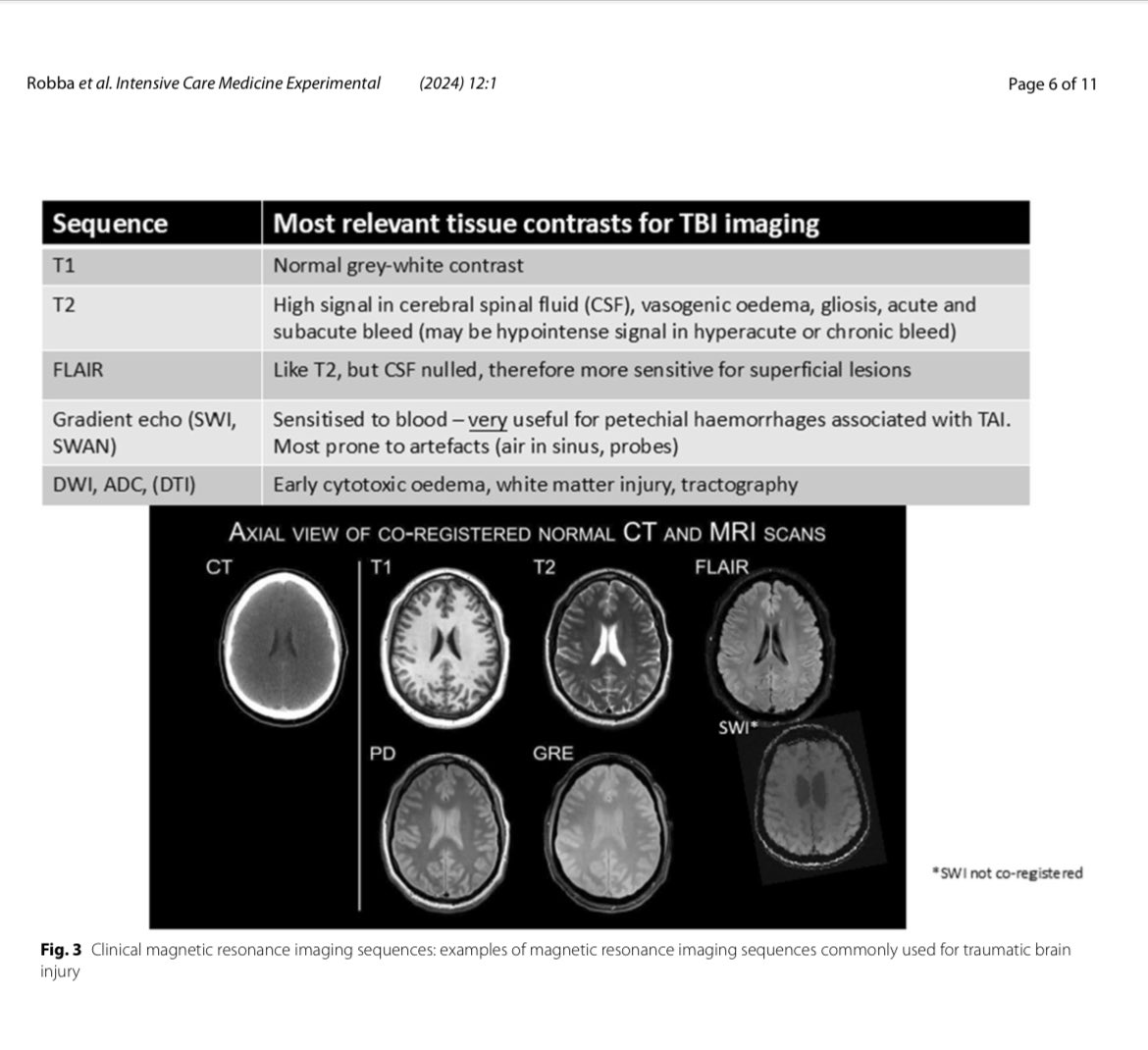 Chiara Robba tweet media