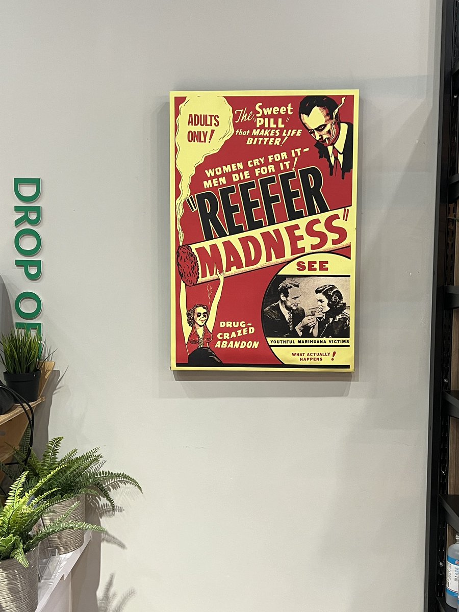 Come see what the madness is all about!

Open Mon-Fri 10-5pm, Sat 10-2pm
Walk-in Clinic Mondays and Fridays 12-4pm