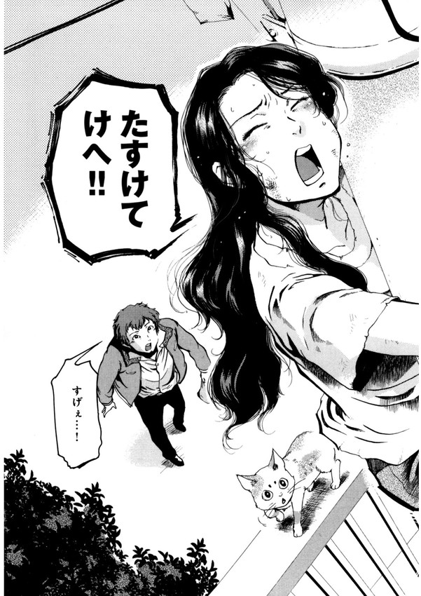 (3/6) 