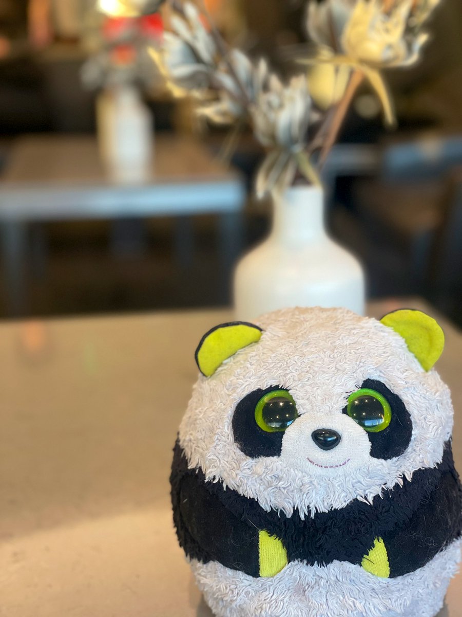 MrPandaJPanda's tweet photo. I’m positively chuffed to be checking out the @AmericanAir Admirals Club at @flyLAXairport ! 
Ready for another day of travel! 
#Travel #Panda #VIP #VeryImportantPanda #AmericanAirlines 🐼 ✈️ https://t.co/tS8p2HDChC