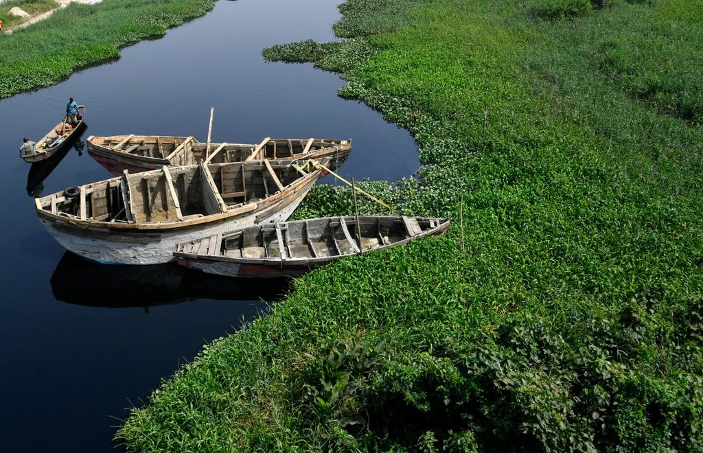 EkpeiPius's tweet photo. Fast growing invasive water hyacinths threaten waterways,  fishing jobs and food source in Nigeria's megacity of Lagos.
#photography #photojournalism #Documentary #environmental #Nature #lagos https://t.co/wqMXS0MNmj