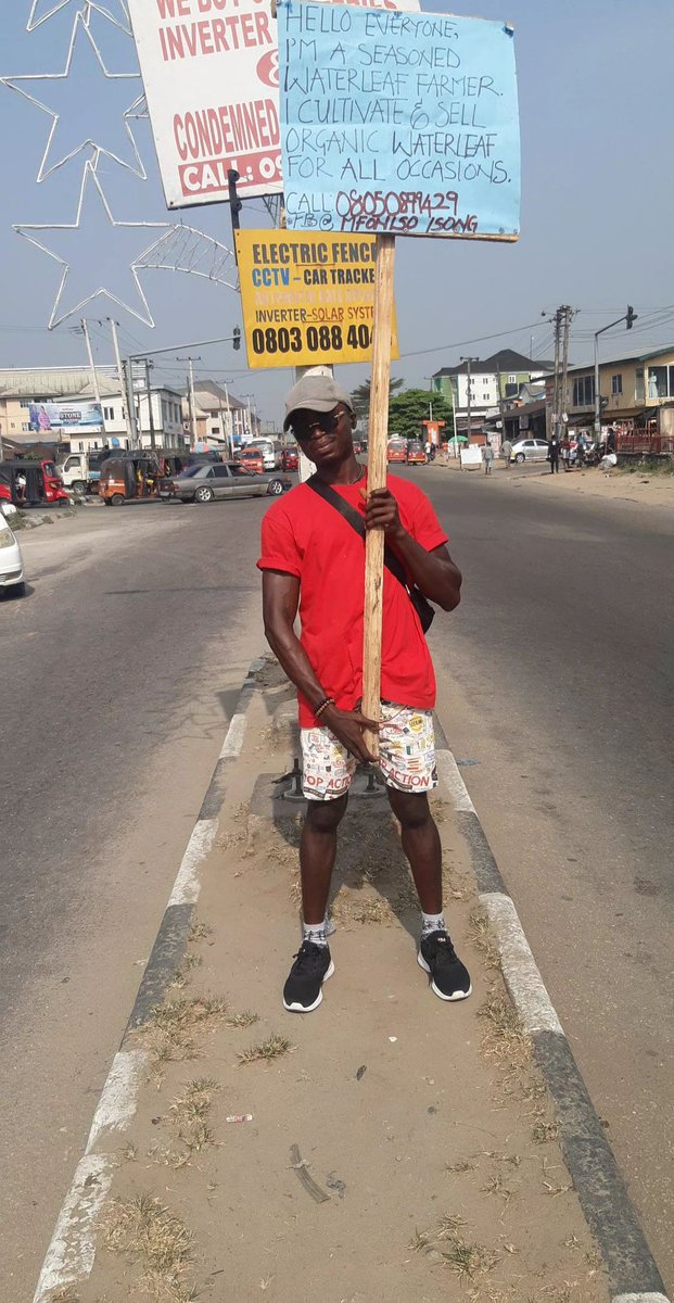 isong_mfoniso's tweet photo. I shamelessly took myself to the street of Uyo to tell the world what I do. I'm a waterleaf Famer based in Uyo.

Kindly rt. My customer may be on your TL.

Bolanle Ninalowo Gistlover Linda Ikeji Hilda Baci Twitter Ng Debbie Nigerians 44 billion naira Innoson Genevieve Betta Edu https://t.co/Ktm9KWa2QI