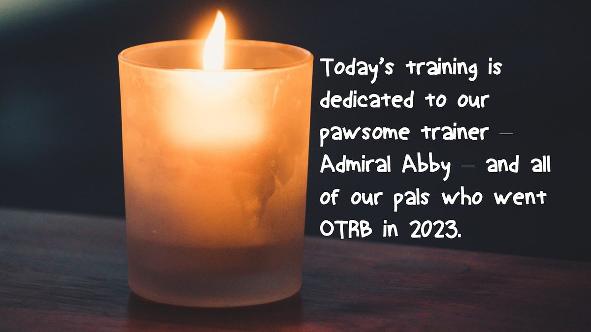 Pals, I know we's gonna have a great laff wivv training, but just a wee moment to remember oor pawsome trainer Admiral Abby & all oor pals are OTRB! #zzst @sweetAbby20