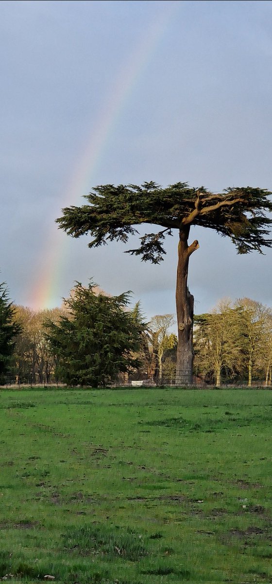 annabrooks66's tweet photo. Beautiful walk 🌈

#Watford #Cassiobury #CassioburyPark #rainbow #WeatherWatchers #loveUKweather #StormHour #weather https://t.co/ACyPpe8aKx