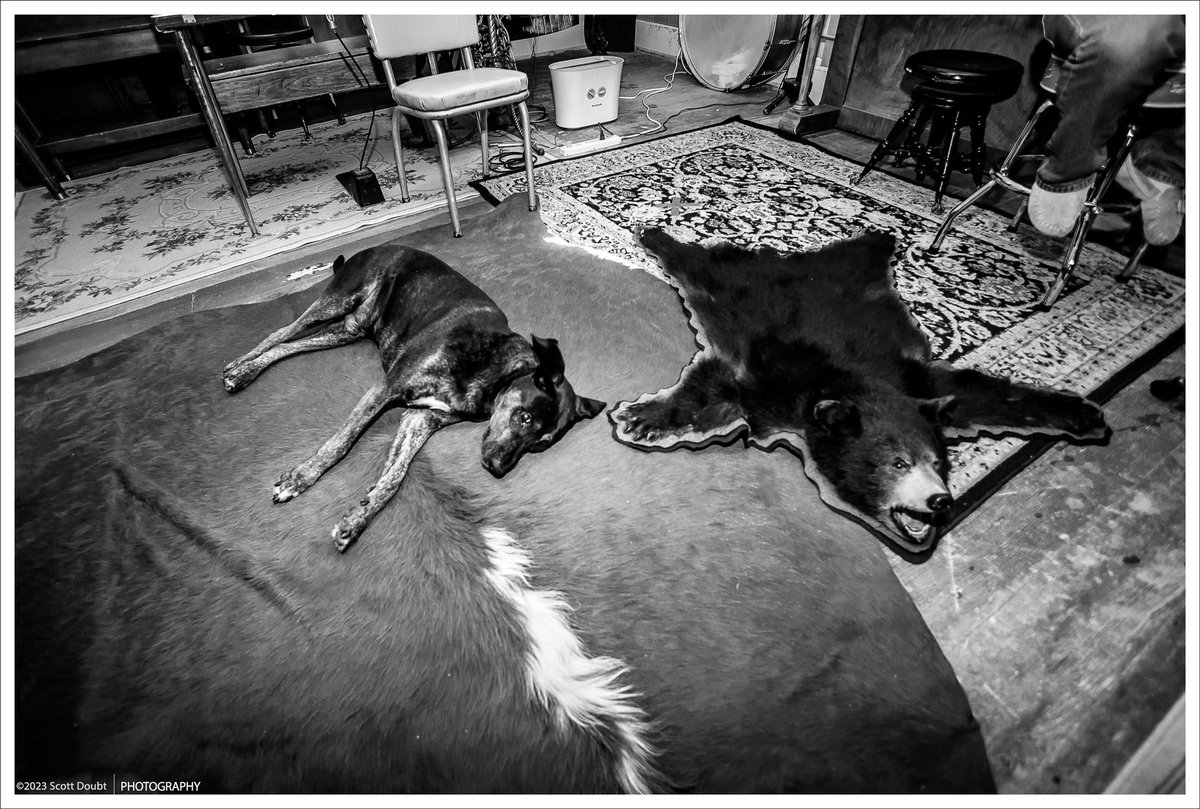 ScottDoubtPhoto's tweet photo. @VisualsbySauter 1. Remi Royale Boxing Day Blowout Matinee at @ManxPub
2. @BlueRodeo #FiveDaysInJuly tour finale at @masseyhall
3. Day nap at #GanaraskaRecordingCompany
4. #SueFoley Live in Austin Vol. 1 album launch at @CanadasNAC https://t.co/HdFim5UZ4l