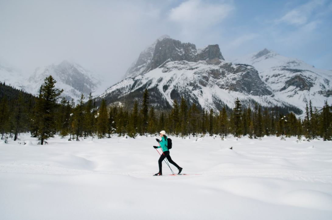 pnYoho's tweet photo. Le @PNYoho offre un décor hivernal féérique, avec une vue magique à chaque tournant! 😍⛰️
 
Adoptez l’hiver!❄️🕺Explorez les sentiers d’hiver pour le ski de fond, la raquette et la marche👉 Pour en savoir plus et consulter l’état des sentiers:
https://t.co/DYvRuLlOrw https://t.co/lnKCGbDEnb