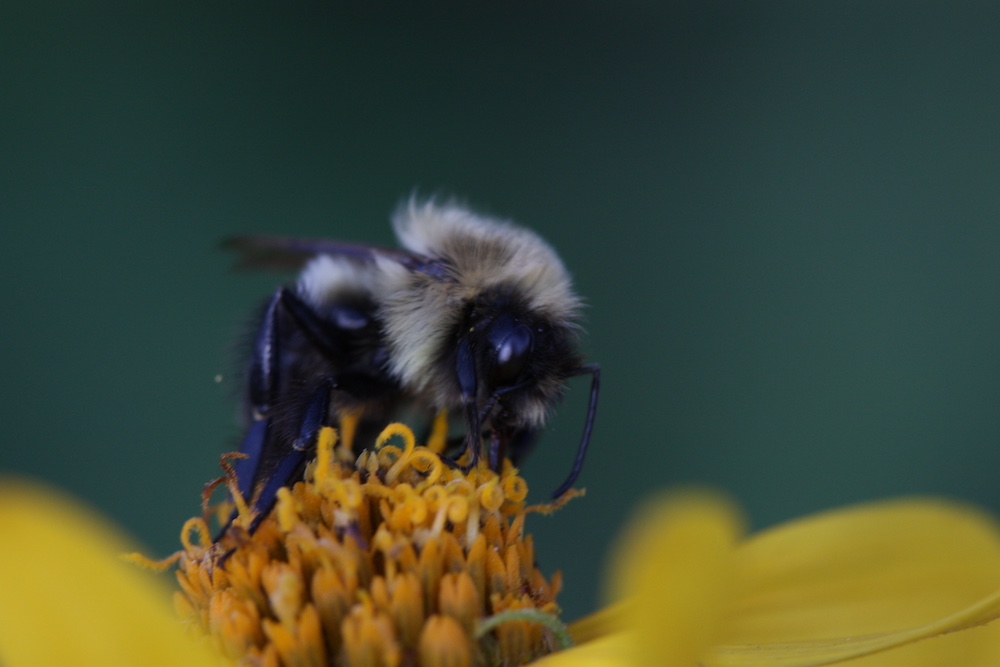 Ground Magazine tweet media