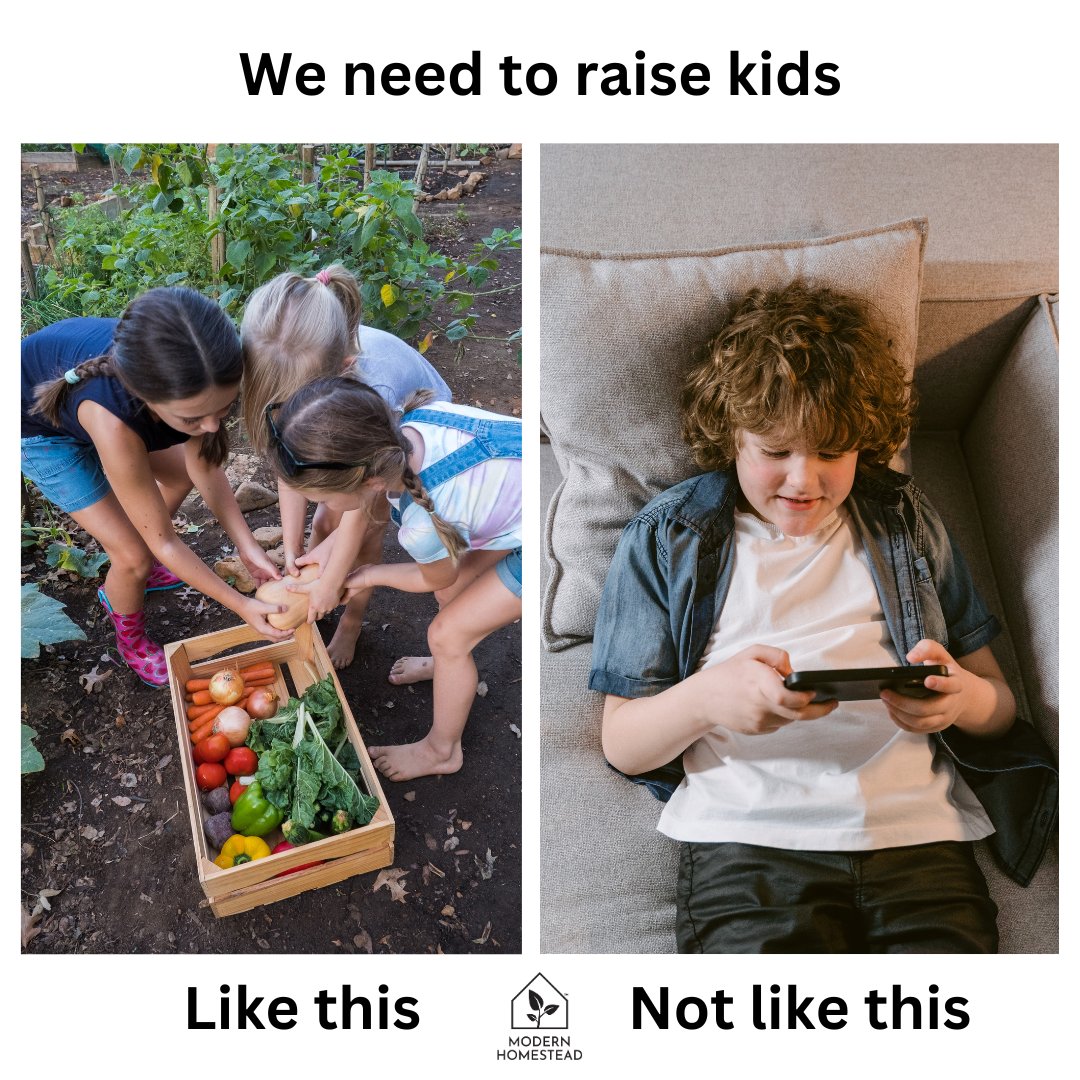 ModernHomeHQ's tweet photo. We believe the whole family should be more connected to our natural resources &amp; help with the harvesting process.

#modernhomestead #homestead #offgridliving #offgrid #meme https://t.co/lkPZulugrv