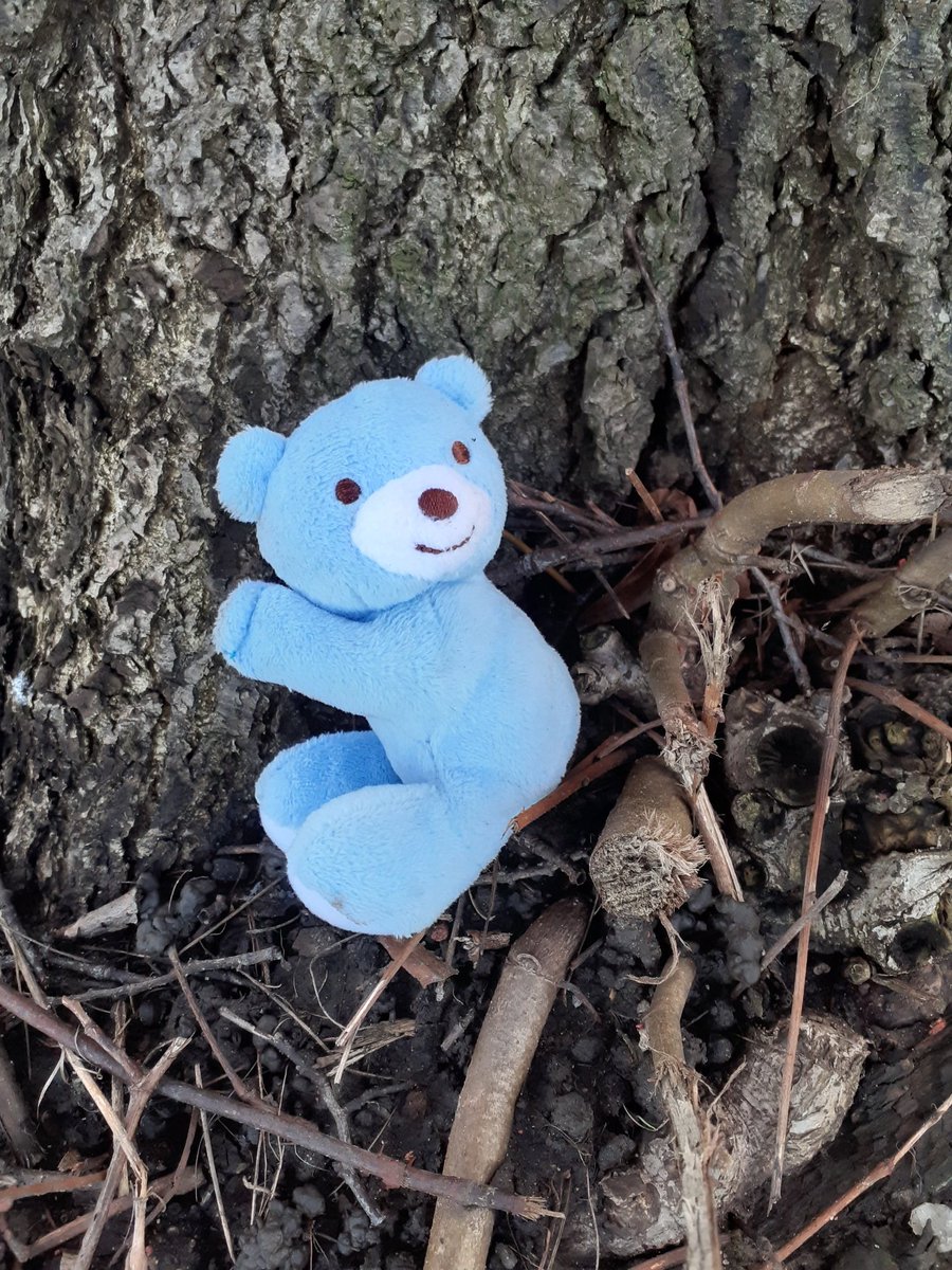 NormantonWard's tweet image. Found this lost Teddy on a litter pick today so popped it at the base of a tree 😀
