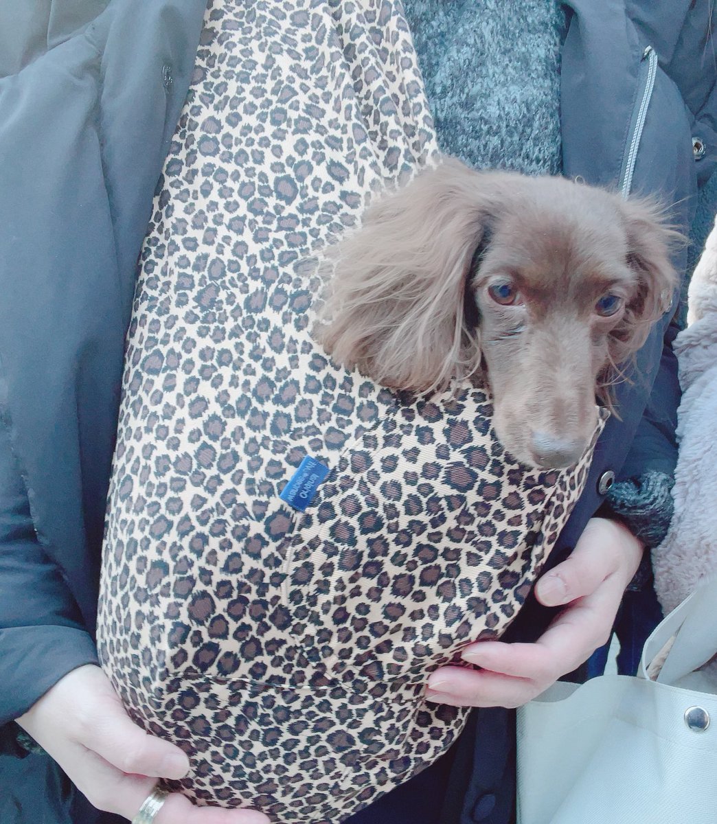 明けましておめでとうございます🐾
今年もどうぞよろしくお願いします🐶