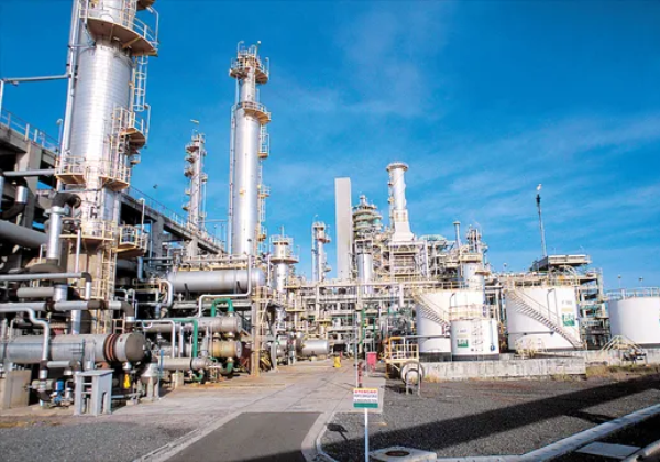 LF News Brasil tweet media