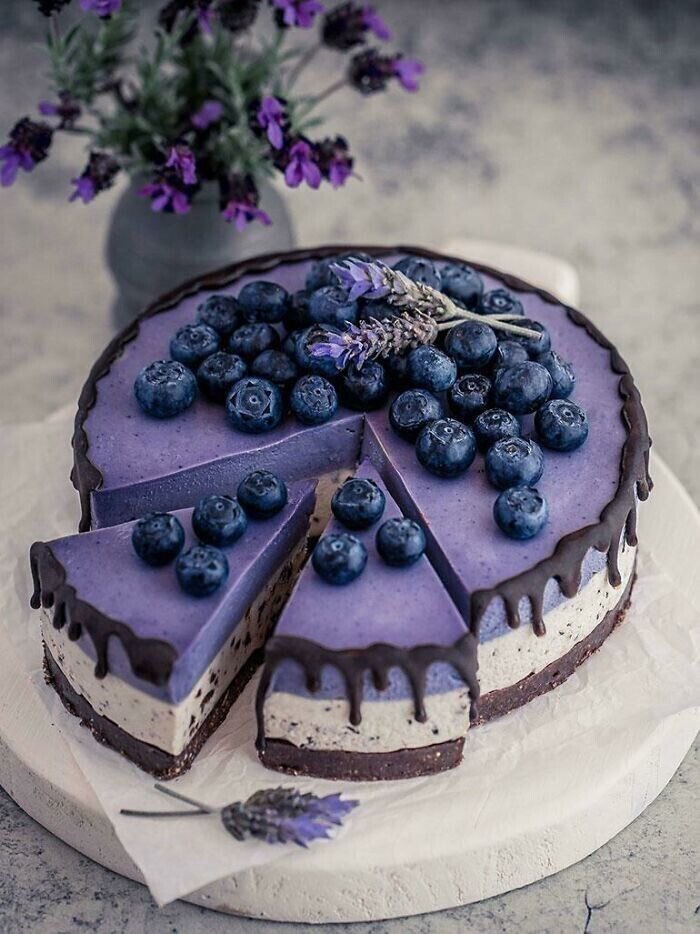 violettweets_'s tweet photo. blueberry cake. https://t.co/KzQiqtKQVU