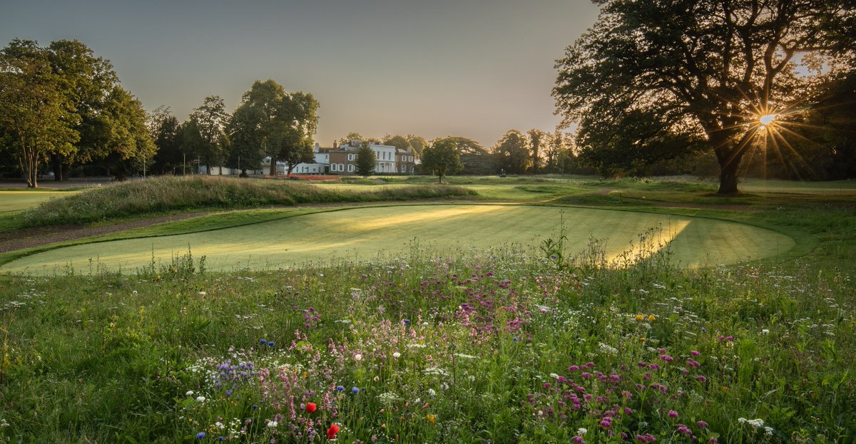 Entry has now opened for our 2024 Open Competitions - Juniors on 11th April, Women's on 18th July, and Senior Men's on 19th August.  For details and entry forms, please follow this link - effinghamgolfclub.com/open-events