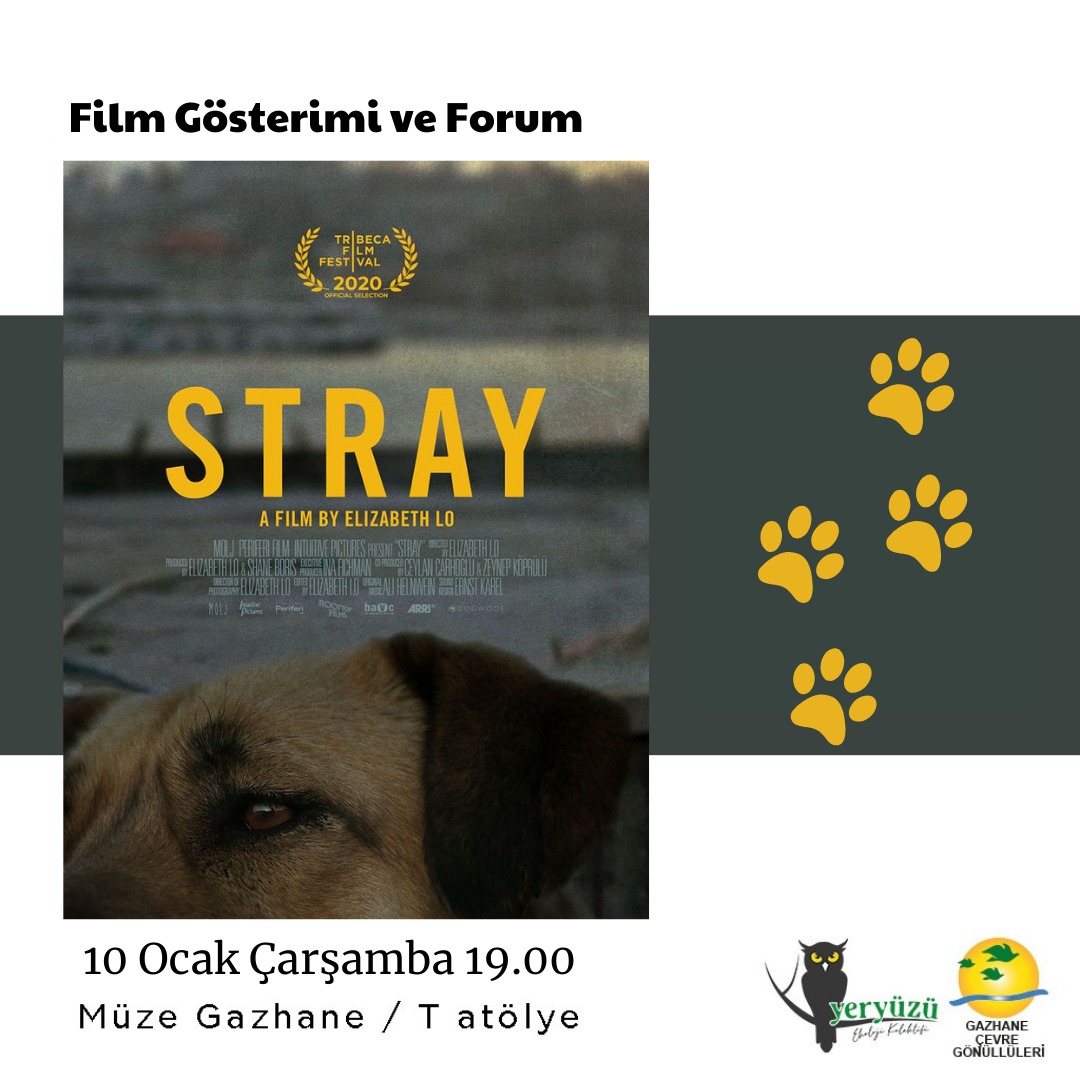 Film gösterimi/forum etkinliklerimiz devam ediyor. 🎉

Mahalle/Kent sakini olarak gördüğümüz köpeklerin gündelik yaşamını yansıtan Stray filmini birlikte izleyip üzerine konuşacağız. 
Davetlisiniz 🦉

#Stray #Kent #Ekoloji 
#MahalleSakini #MüzeGazhane
