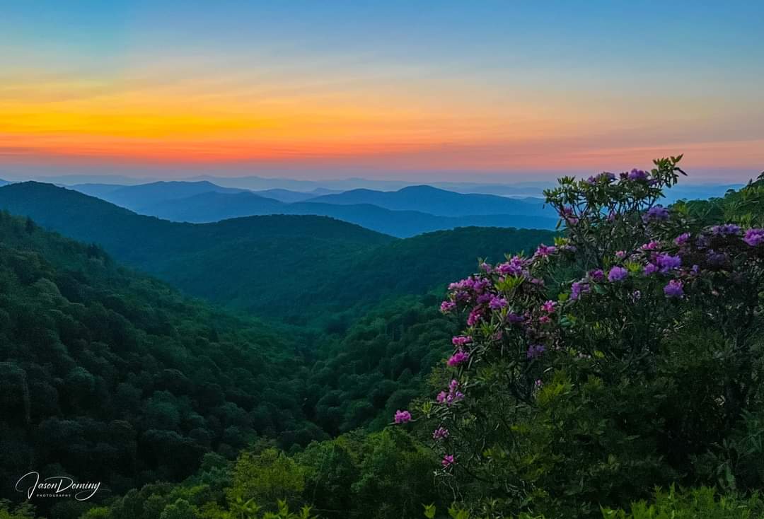 “In this life, we will know and bear witness to incredible sorrow and anguish, and we will experience breathless love and joy.” - Brené Brown.