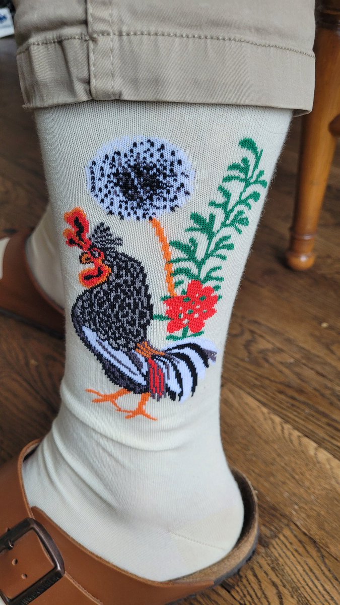 PhenomeneSature's tweet photo. Il n'y a pas que @Philocognitif qui peut frimer avec ses chaussettes ! Vive la tapisserie bénédictine, et bravo @AMissegle ! 🤗🧦🐓 #DomRobert #EnCalcat #Bénédictins #Tapisserie https://t.co/2mMwe9p1gq