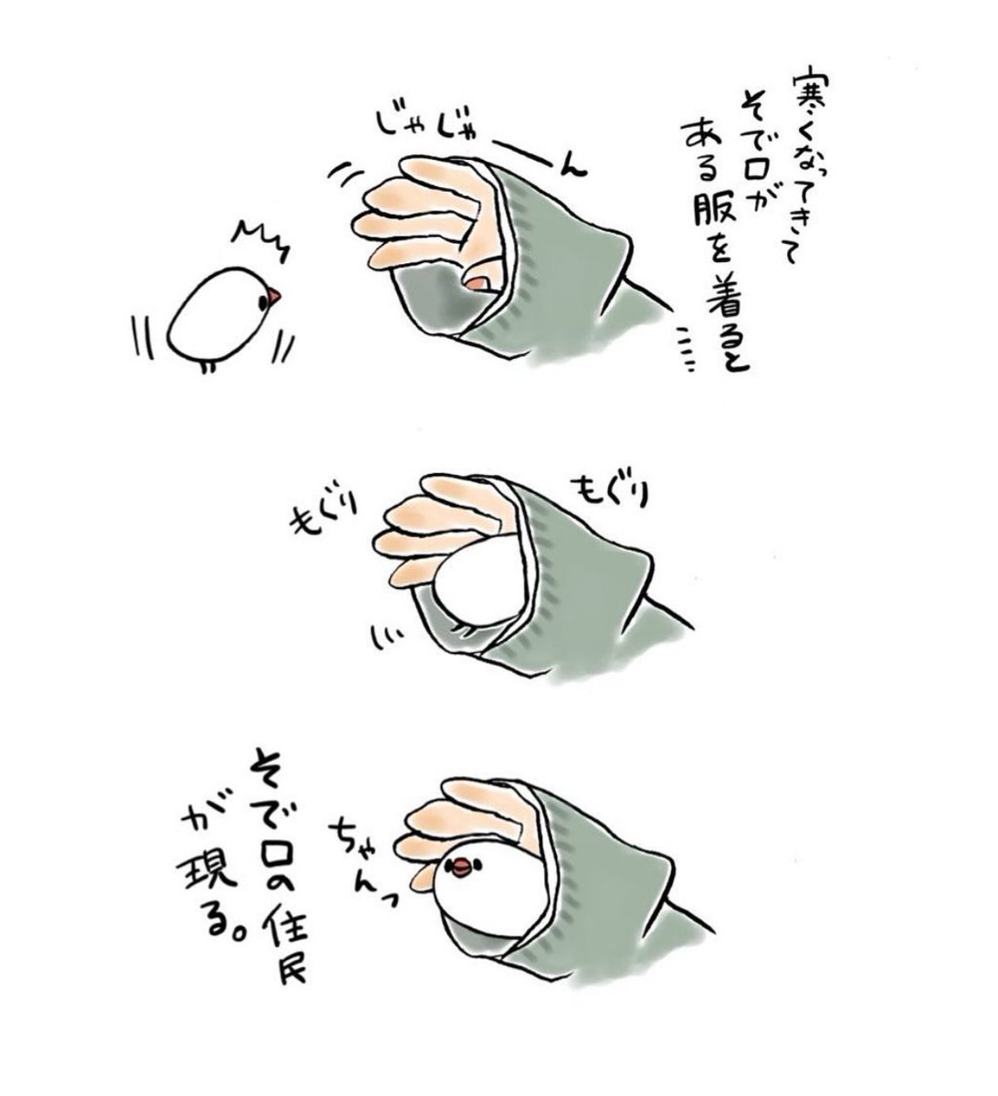 明日も20〜21時にイラスト投稿します🐦
(BOOTHの更新はお休みします🙇‍♂️)
『袖口の住人、現る…!』(再掲) 