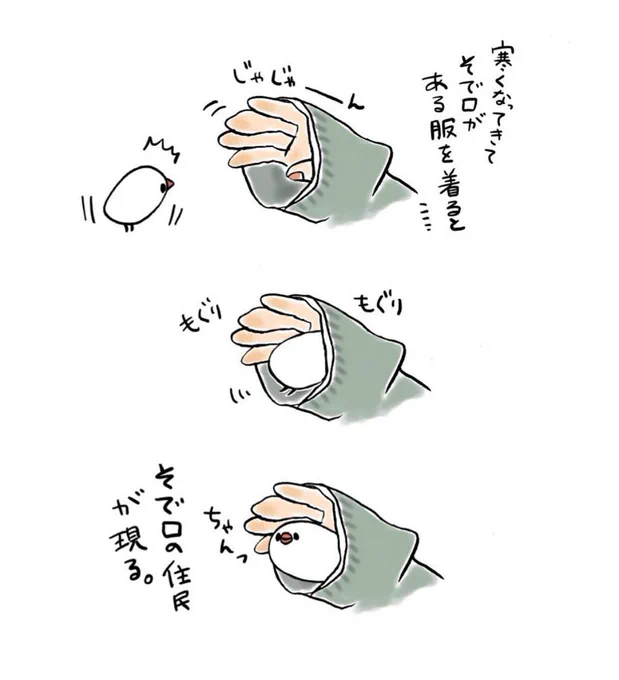 明日も20〜21時にイラスト投稿します🐦
(BOOTHの更新はお休みします🙇‍♂️)
『袖口の住人、現る…!』(再掲) 
