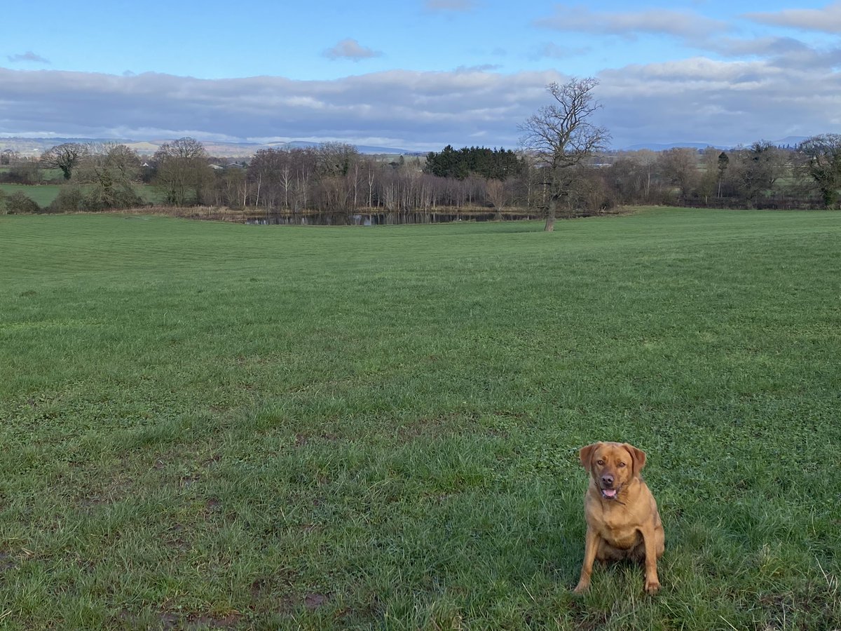 MikeAThomas82's tweet photo. Love my backyard and running buddy https://t.co/xkgSN3qnJ7