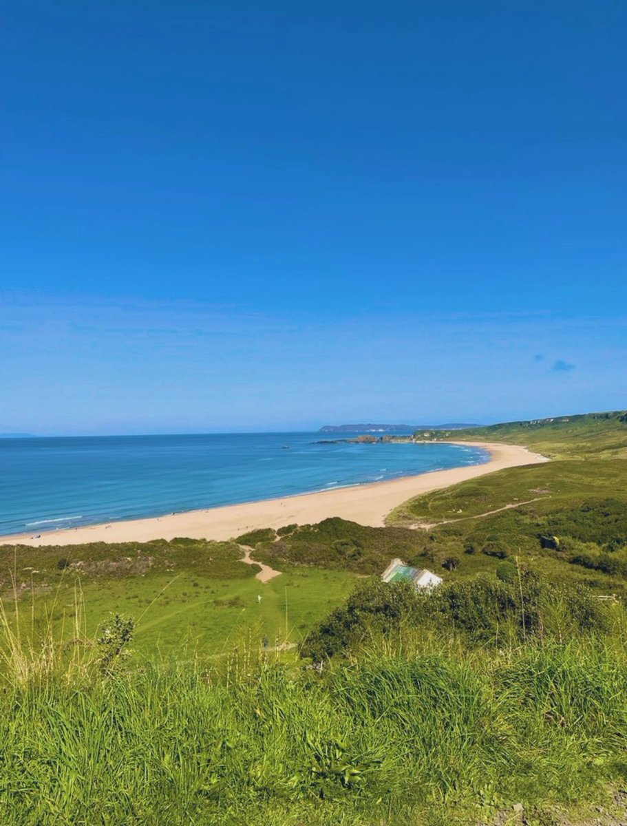 Brendan Rogan tweet media