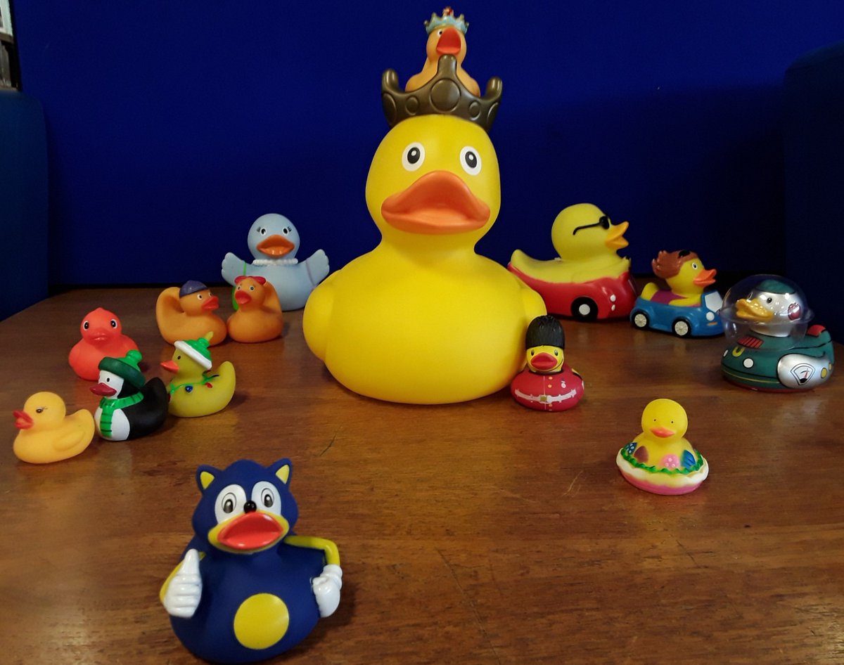 corkcitylibrary's tweet photo. The Kingdom of the Ducks is currently visiting Mayfield Library. 🦆 

King Duck and his minions, including Bohemian Quacksody and Demigordon Duck, are there to say hello. This cute collection of 70 ducks will brighten up the library in January.

#MayfieldLibrary https://t.co/R3NcPmgZsu