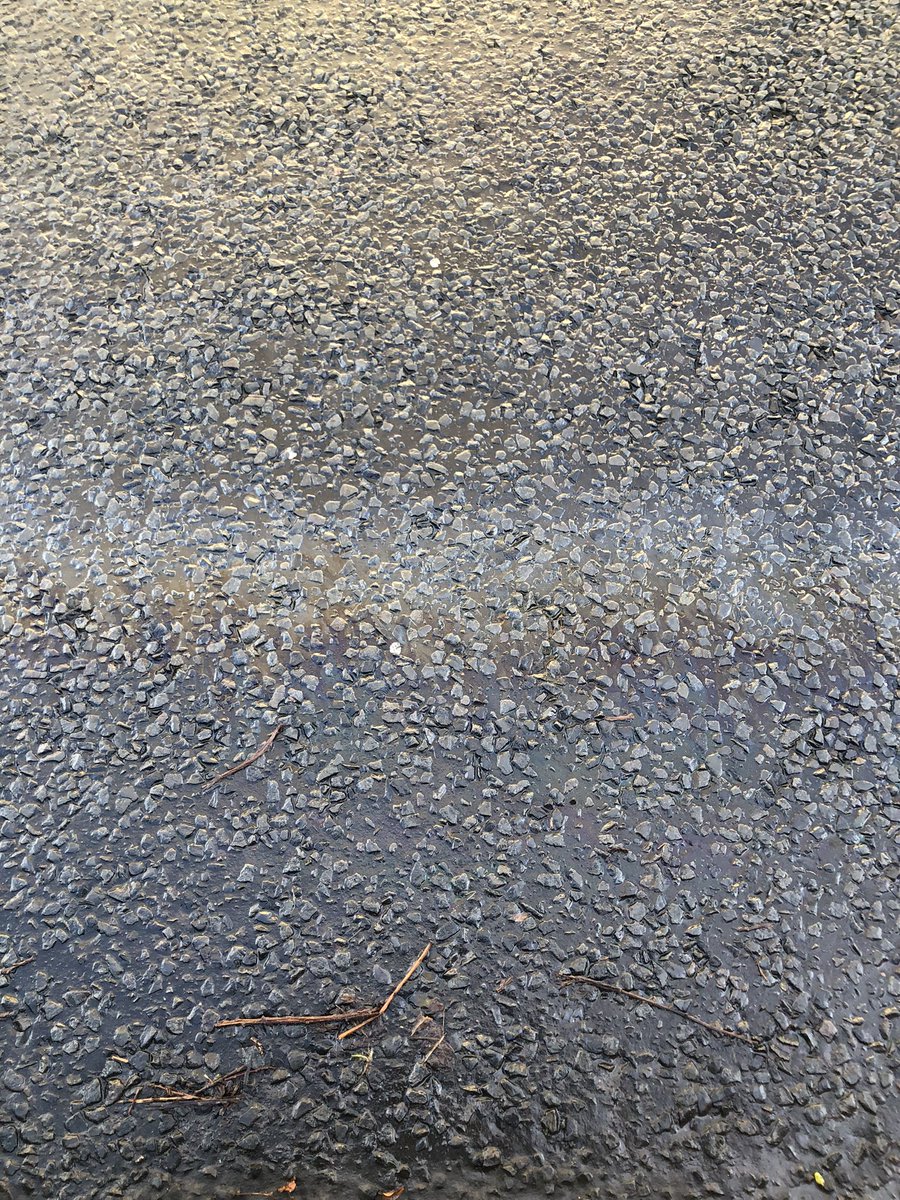 Jonathan Corry tweet media