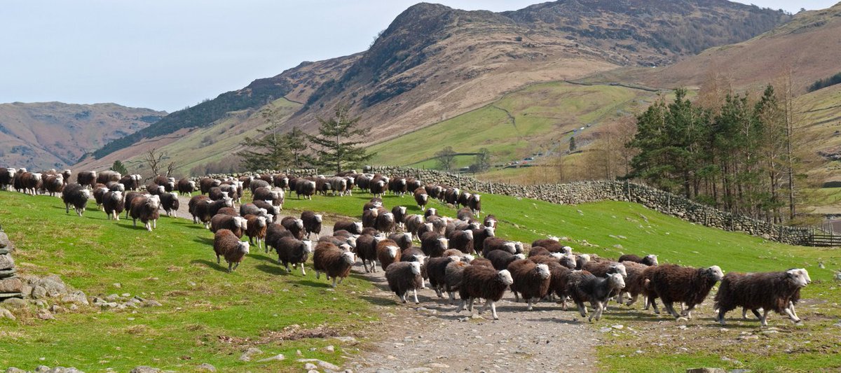 Antigone Journal tweet media