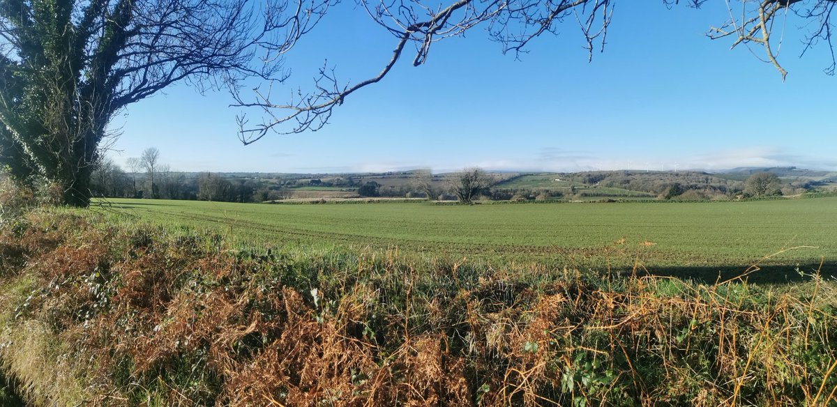 Beautiful view across the Slaney Valley this frosty morning. #wexford #slaney