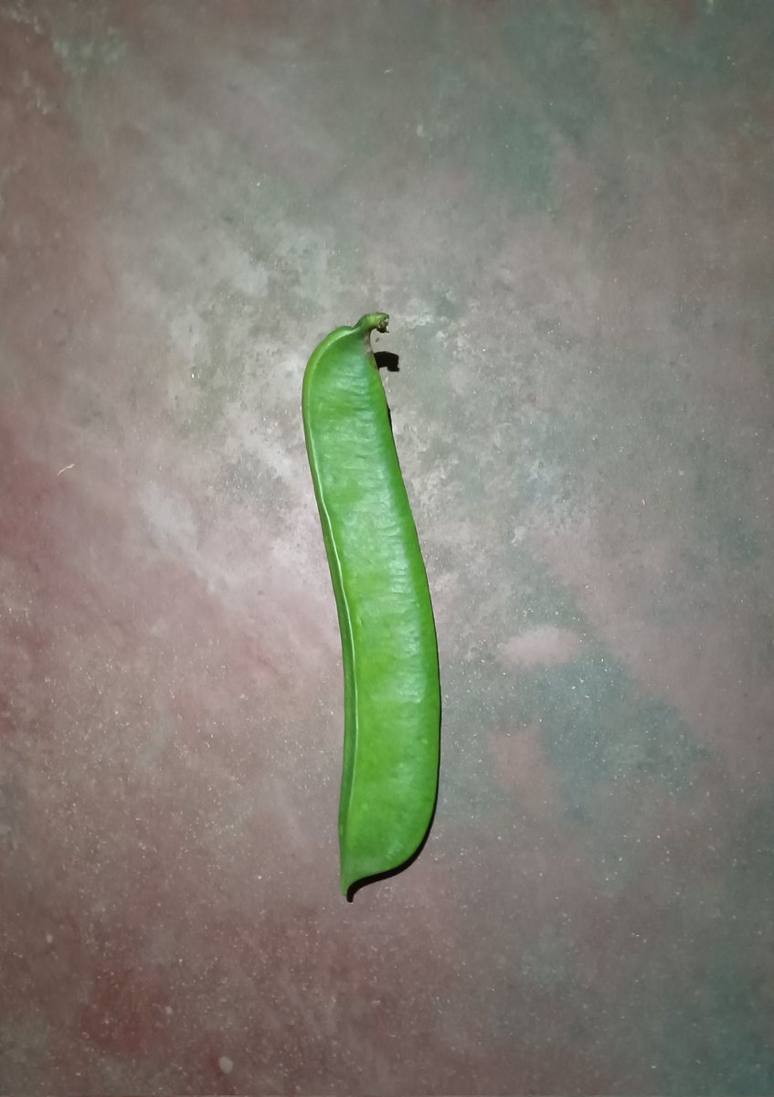 ଏହି ଜିନିଷଟିର ନାମ କ'ଣ?
ବଜାର ରେ ମିଳିଲା...