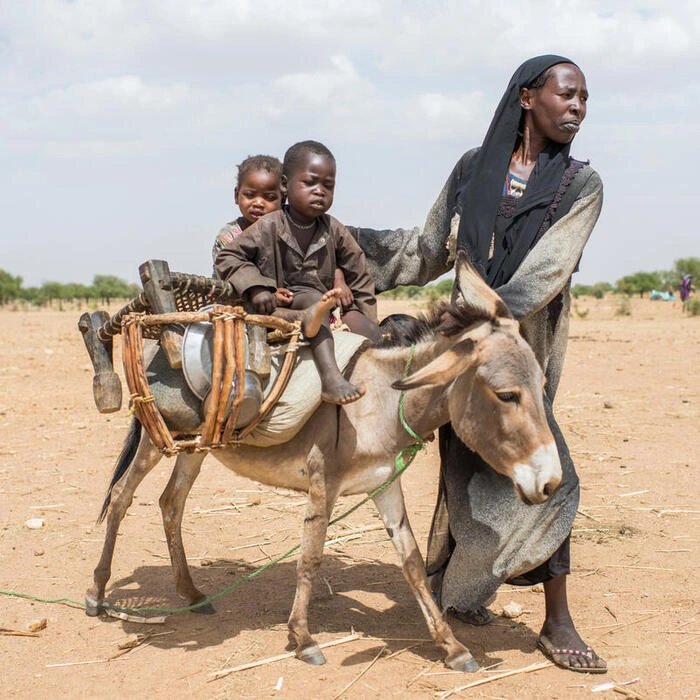 Marchfoward's tweet photo. DOA UNTUK SUDAN

Sementara Palestin sedang diancam Israel

Situasi mula menekan di negara saudara kita di Sudan

Apabila Terdapat wanita di Sudan meminta fatwa agar mereka membunuh diri atau mencari pil pil perancang kerana dirogol oleh Rapid Support Force menurut sumber tempatan

Ini susulan Perang antara Tentera Kerajaan Sudan dan Rapid Support Force(RSF) semakin berpanjangan selama 9 Bulan

800,000 pelarian dari Sudan kini mencari perlindungan di negara negara jiran berhampiran

7.5 Juta rakyat Sudan kehilangan tempat tinggal akibat perang saudara ini

310,000 rakyat Sudan kini sudah menyeberangi sempadan memasuki Mesir memohon perlindungan

UNHCR sudah menggerakkan pasukan kecemasan di Sempadan Sudan dengan Ethiopia, Republik Afrika Tengah, Selatan Sudan dan Mesir

Pasukan Kecemasan UNHCR bertindak menyediakan tempat perlindungan, keperluan asas, makanan dan minuman serta akses kepada pendidikan di kawasan sempadan itu dengan kebenaran negara negara berkenaan

Di dalam Sudan. UNHCR sudah meningkatkan aktiviti mereka di Wad Madani, Wad Haifa dan Pelabuhan Sudan bagi membantu mereka yang kehilangan tempat tinggal

Sementara itu Panglima Angkatan Tentera Sudan, Jeneral Abdel Fattah Borhan menyatakan tidak akan ada pendamaian dengan RSF

Ini kerana RSF diketuai Hamdan Dagalo melakukan jenayah perang di Darfur dan Sudan serta menjalankan pembersihan etnik di Bandar El Genina, Timur Darfur