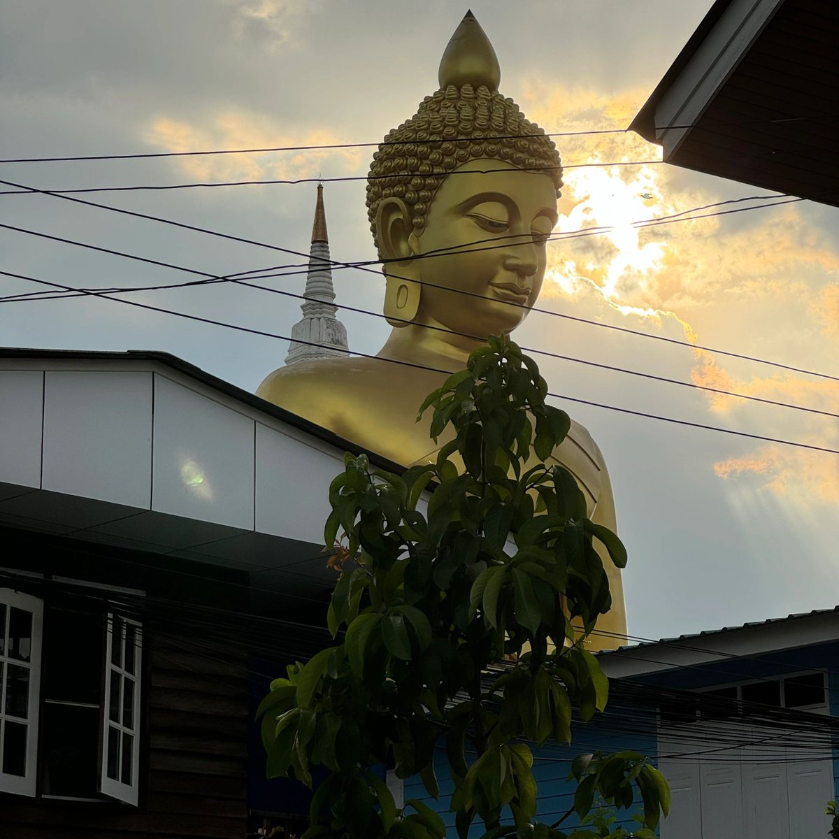 diego_good's tweet photo. Bangkok Thailand Thailand is still big. Think of it as a country that mixes glory and poverty. The name of the religious land is not given for nothing. Giant Buddha statues, The giant Buddha statues and golden Buddha statues everywhere are stunning. https://t.co/uncCg6D2AS