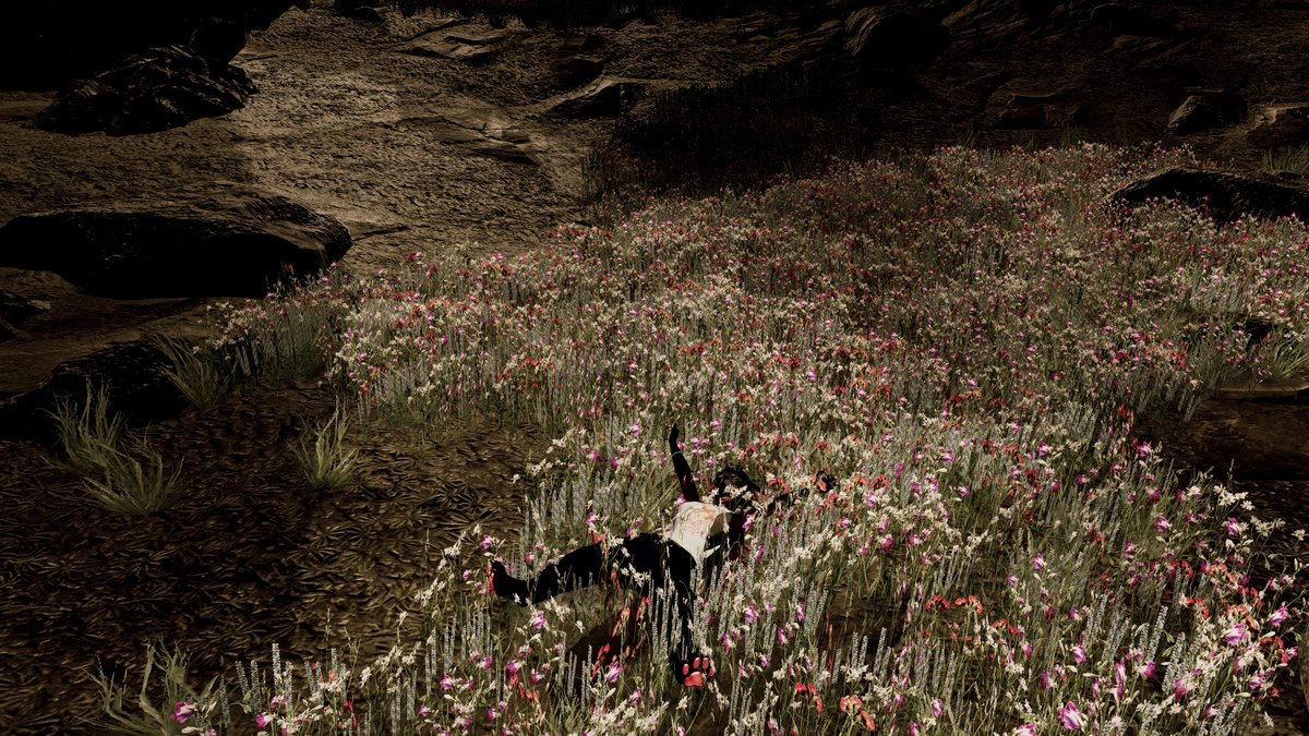 WOLF0 tweet media
