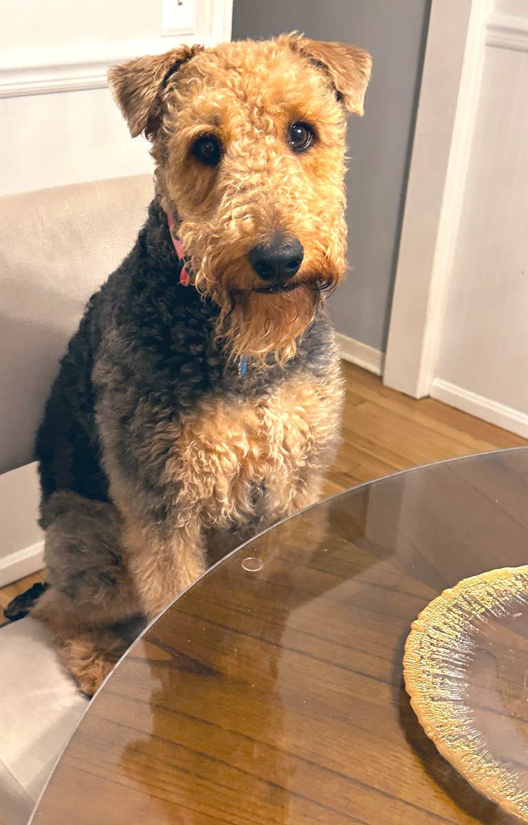 QueenQuinnAire's tweet image. Did I get a visitor last night? Was I a good girl? Saturday morning thoughts. #SaturdayThoughts #Saturday #LaBefana #queenquinnairedale
