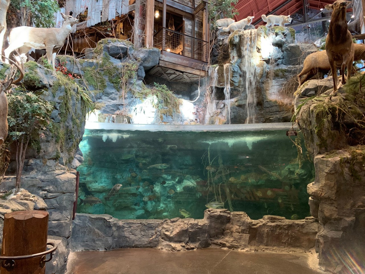 KSNT 27 News on X: A man crashed his car outside a Bass Pro Shop in  Alabama, stripped naked and plunged into the giant aquarium inside the  store Thursday night, police said.