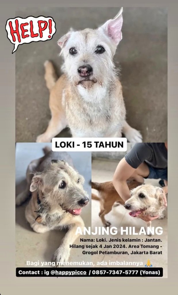 #help #anjinghilang
Mohon bantu sebarkan ya guys. Terima kasih