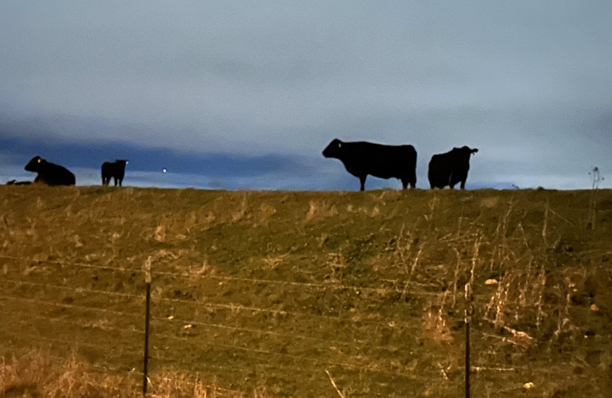 ConnellConnell's tweet image. Stillness is the Key! TY R.H. #RyanHoliday