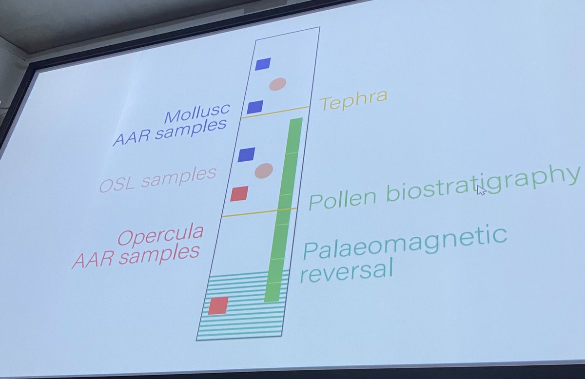 Then former @GeographyUOM member @amymcg gave a wonderful presentation on ‘throwing all’ the geochronological techniques at marine cores from RISeR, where there is a mystery of some missing sediment… #QRA24