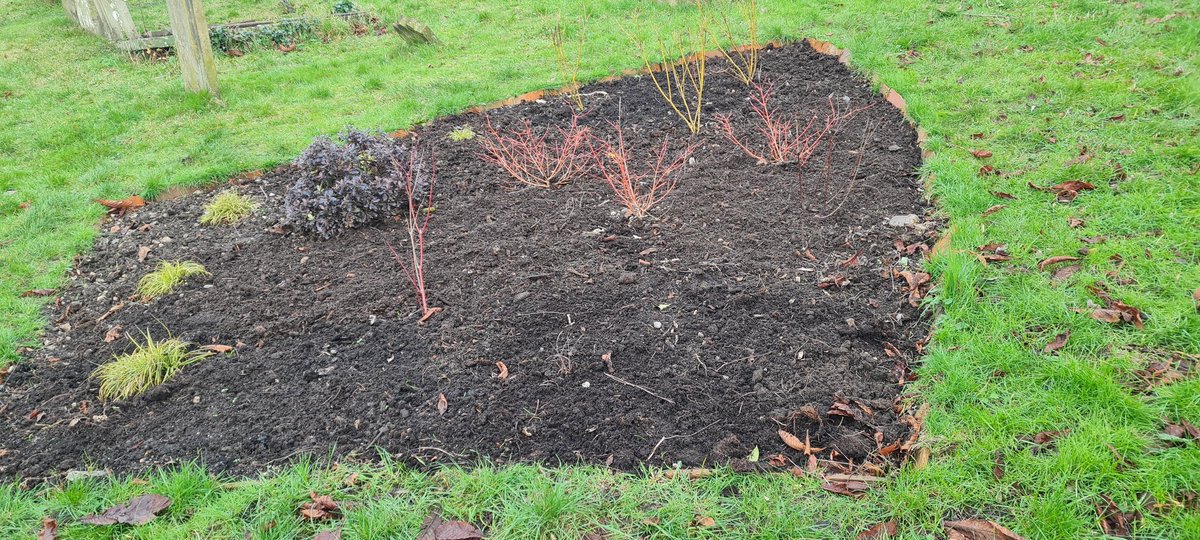 GASP_Croydon's tweet photo. Mulching day as the GASP volunteers spread our home made compost to the developing winter garden #SouthCroydon https://t.co/9vrlLPJXiu