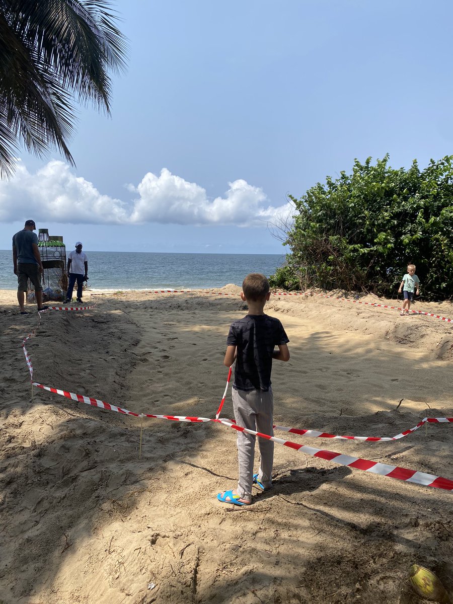 Nous avons rencontré l’ONG TORTUE du #GABON, dans ces œuvres afin de créer une piscine d’éclosion des tortues marines.

Un moment d’échange entre ami de la nature qui voit l’envie de protéger l’environnement par des gestes simples.