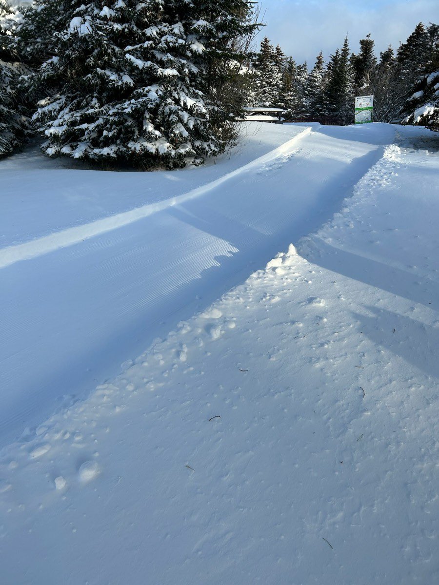 Pippy Park is currently being groomed and it is GORGEOUS, folks! 🤩 
<a href="/pippy_park/">Pippy Park</a> @PPWACTrails 
#nlwx