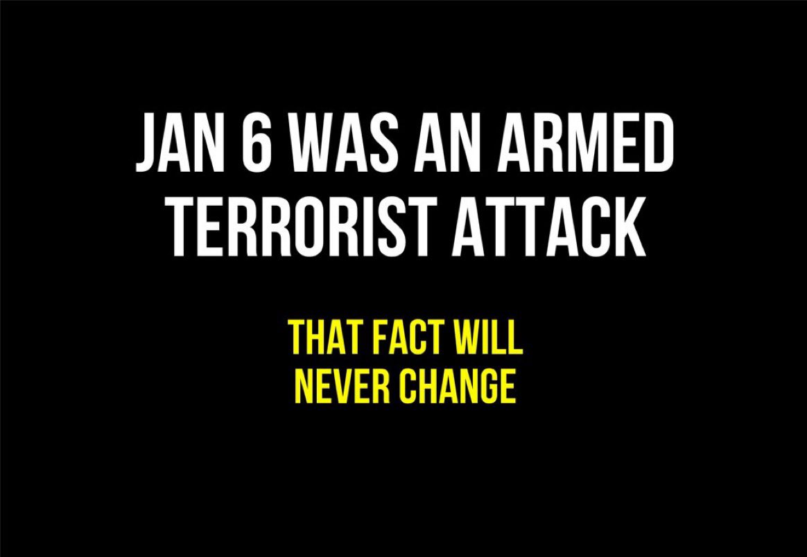 Don’t let anyone lie about January 6th. It was an armed terrorist attack. Pipe bombs, guns, Molotov cocktails, stun guns, machetes, a crossbow, hockey sticks, baseball bats, flagpoles, pepper spray, bear spray, brass knuckles, scissors, needles, screwdrivers, and an axe. Over